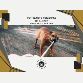 pet waste removal