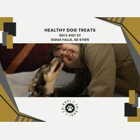 healthy dog treats