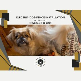 electric dog fence installation