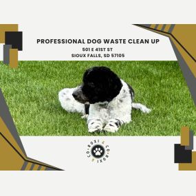 professional dog waste clean up