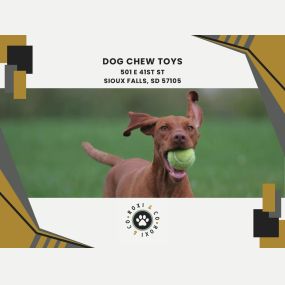 dog chew toys