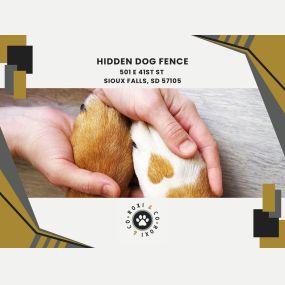 hidden dog fence