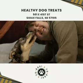 healthy dog treats