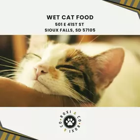 wet cat food