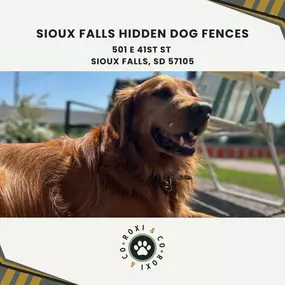 Sioux Falls hidden dog fences