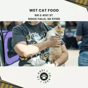 wet cat food