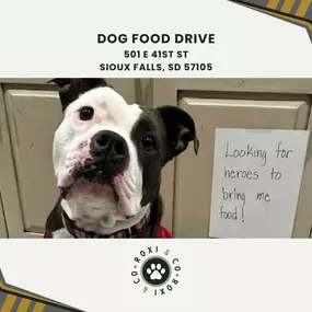 dog food drive