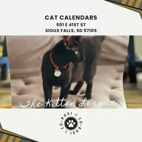 cat calendars