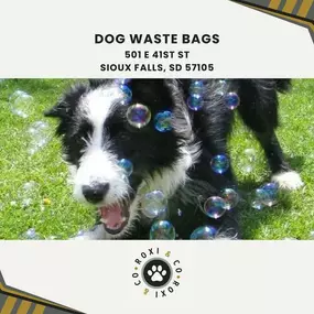 dog waste bags