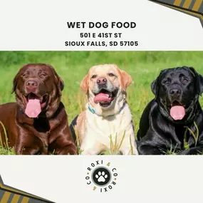 wet dog food