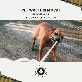 pet waste removal