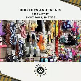 dog toys and treats