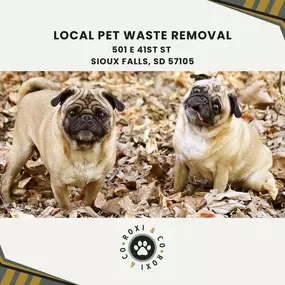 local pet waste removal