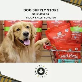 dog supply store