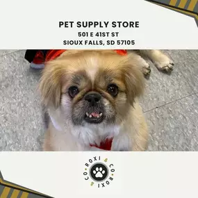 pet supply store