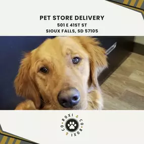 pet store delivery