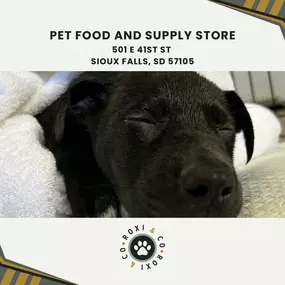 pet food and supply store