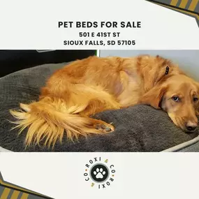 pet beds for sale