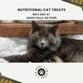 nutritional cat treats