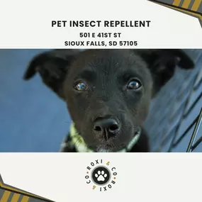 pet insect repellent