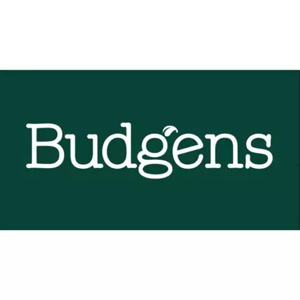 Logotyp från Budgens