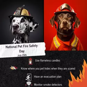 Plan ahead to keep your furry friends safe in an emergency!