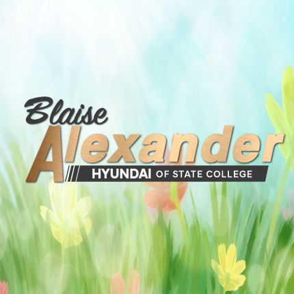 Logo fra Blaise Alexander Hyundai