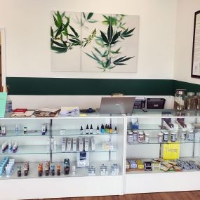 MMJ doctor Tampa FL