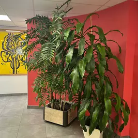 Bild von BIO86 - Laboratoire de Blossac
