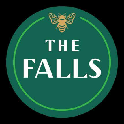 Logo da The Falls