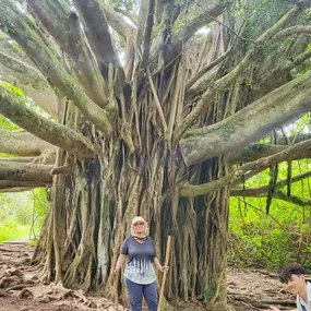 My walk in a bamboo forest was so breath taking!