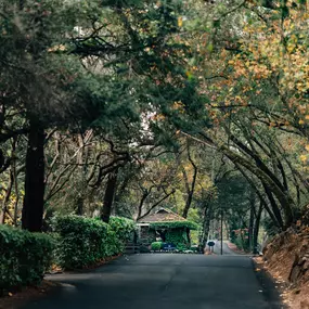 Bild von Meadowood Napa Valley