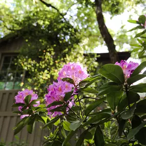 Bild von Meadowood Napa Valley
