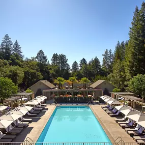 Bild von Meadowood Napa Valley