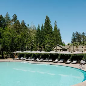 Bild von Meadowood Napa Valley