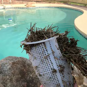 Your pool is a reflection of your home and provides a place for children to play, adults to relax, and a scenic view on any day of the week. However, all of that can be overlooked when your pool isn’t up to your standards of cleanliness. Algae buildup, calcium deposits along the walls, green-colored water, and harsh chemical smells can all signal that your pool needs extra care and attention. Thankfully, the professionals at Good Life Pool and Spa Care have you covered.