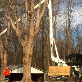 OUR TEAM IS HERE TO PROVIDE THE EMERGENCY TREE SERVICE YOU NEED TO TAKE CARE OF DAMAGED TREES AND PREVENT FURTHER DAMAGE TO YOUR PROPERTY.