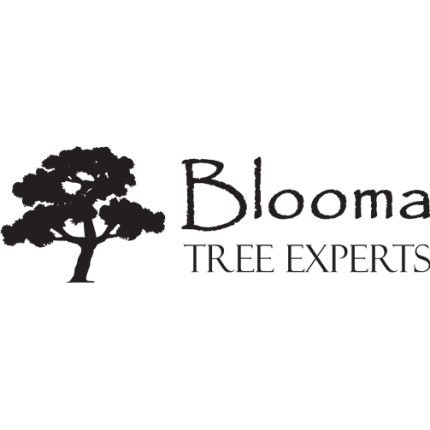 Logo from Blooma Tree Experts