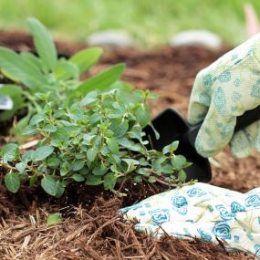 Hardwood vs. Leaf Mulch