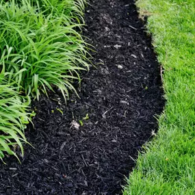 How to Lay Mulch