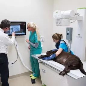 Bild von Animal Medical Center of Jupiter