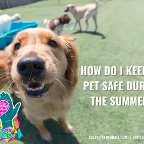 Texas summers can be extremely brutal, with temperatures well over 100 degrees. Click the link below for some tips on avoidable pet hazards! If it's too hot for you, it is too hot for them!