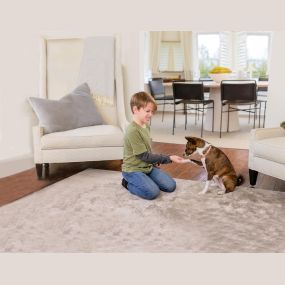 puppy and boy playing on an area rug