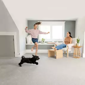 Family and a dog playing on clean carpet