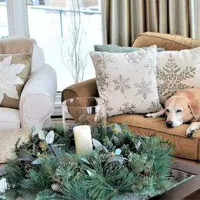 dog sleeping on a clean couch