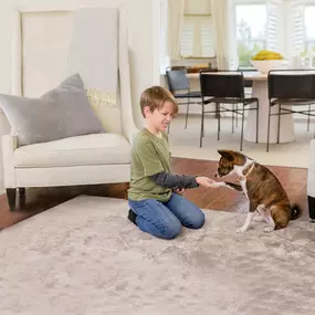 puppy and boy playing on an area rug