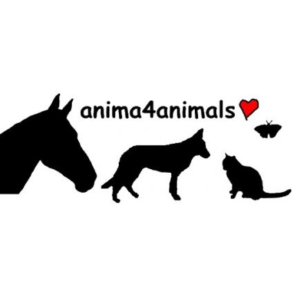 Logo from Anima4animals, Institut für Tierkommunikation