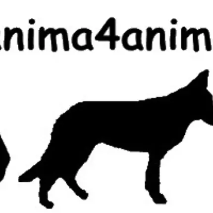 Logotyp från Anima4animals, Institut für Tierkommunikation