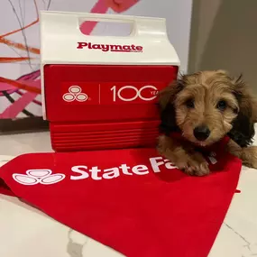 Alex Post - State Farm Insurance Agent - Furry Friends