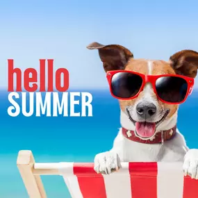 Welcome to summer! This guy is here to remind you that protecting your pets with pet insurance not only helps to keep them healthy but can save you big on vet visits.